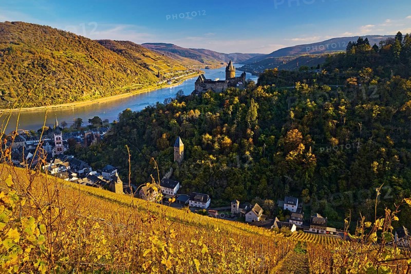 View of Bacharach with Stahleck Castle, hilltop castle above the Rhine, Upper Middle Rhine Valley in autumn, Rhineland-Palatinate, Germany, Europe