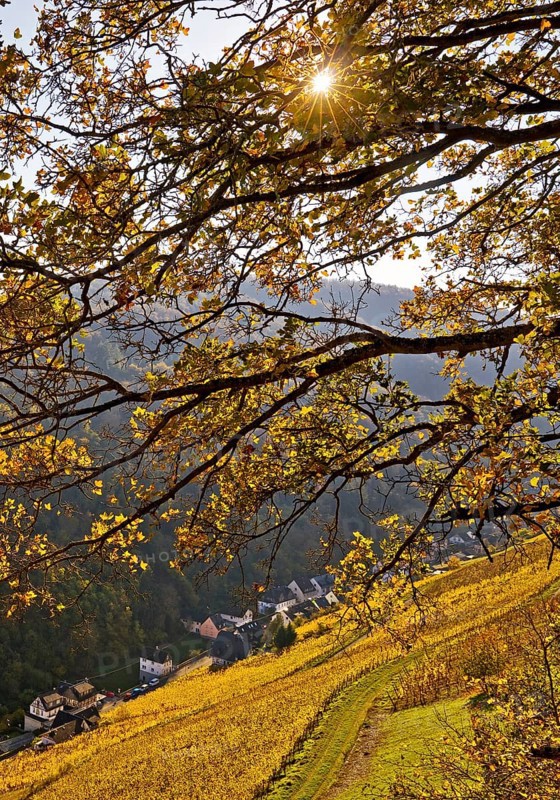 View of Bacharach in autumn, UNESCO World Heritage Upper Middle Rhine Valley, Rhineland-Palatinate, Germany, Europe