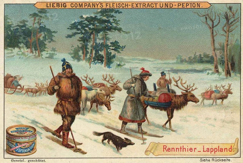 Picture series Animals of the countries, reindeer from Lapland, Liebig picture, digitally restored reproduction of a collector's picture from around 1900, public domain, exact date unknown, people and reindeer in snowy Lapland, traditional clothing