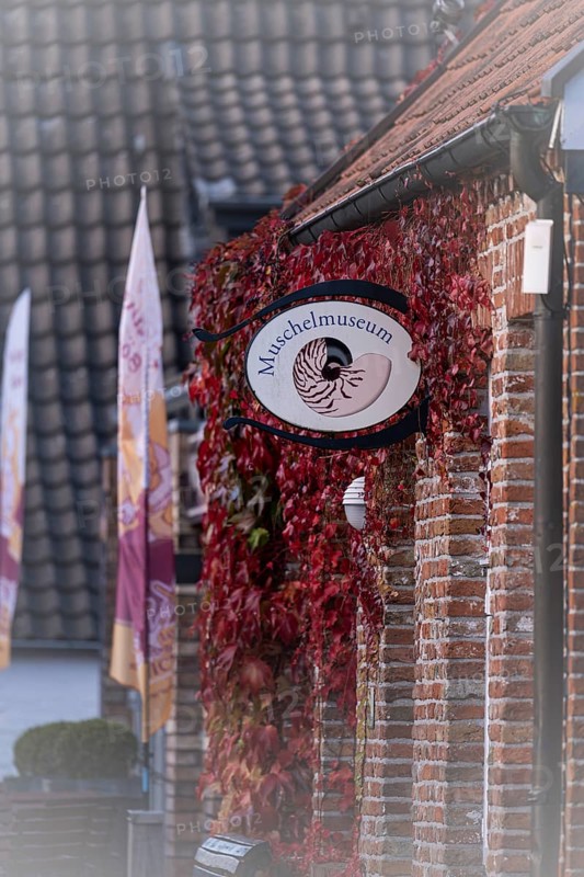 Shell museum in Hooksiel, exterior view, red clinker brick facade, sign in black metal frame framed with a shell, dark red leaves climbing down the wall of the house, Wild Vine, blurred flag in the background, muted roofs in red and anthracite, Hooksiel, Wangerland, North Sea coast, Lower Saxony, Germany, Europe