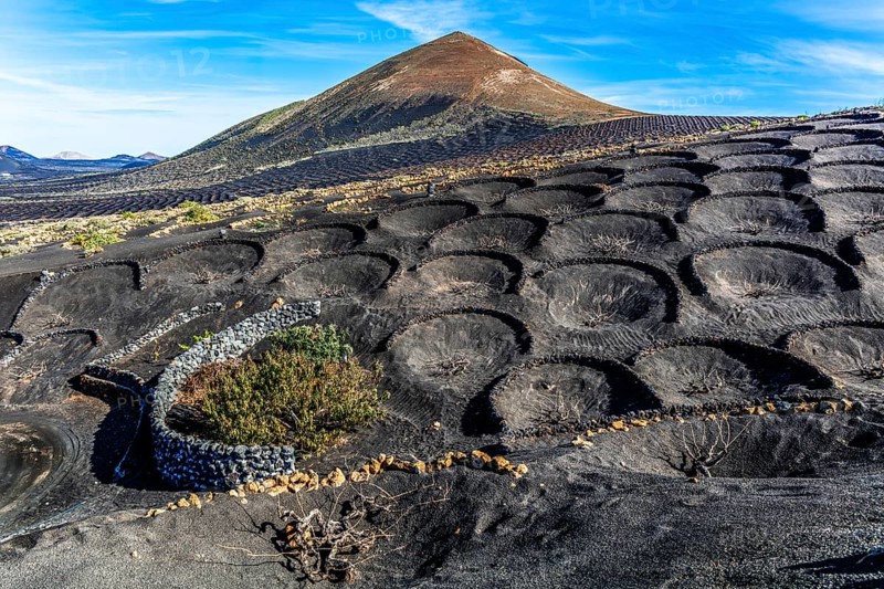 2016, La Geria, Lanzarote, La Geria, ESP, Spain, Canary Islands, Canary Islands, Atlantic Ocean, Lanzarote, biosphere reserve, volcano, volcanism, volcanic island, island, wine-growing area, wine, nature reserve, recording date, Europe