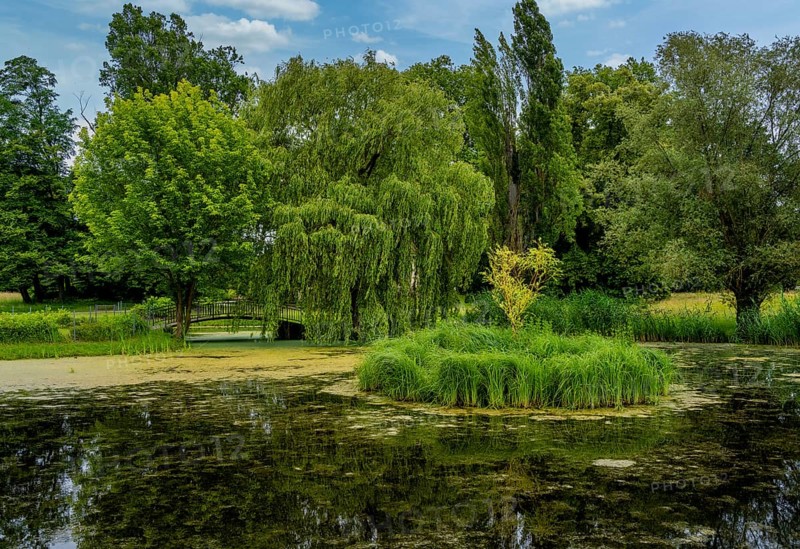 Landscape in the Lower Oder Valley National Park, Criewen, Brandenburg, Germany, Europe