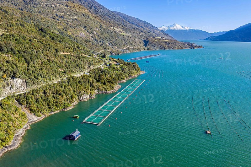 Aerial view of salmon farm in the Reloncavi fjord southeast of Puerto Montt, Chile, South America