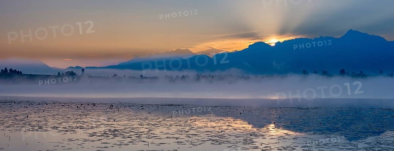 Sunrise at Lake Hopfensee near Füssen, behind Hopfen am See, the Tegelberg massif and the Säuling, Ostallgäu, Allgäu, Upper Swabia, Swabia, Bavaria, Germany, Europe