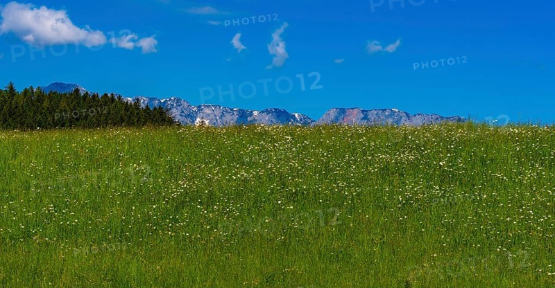 Landscape at Tauglgries in Bad Vingau, Austria, Europe