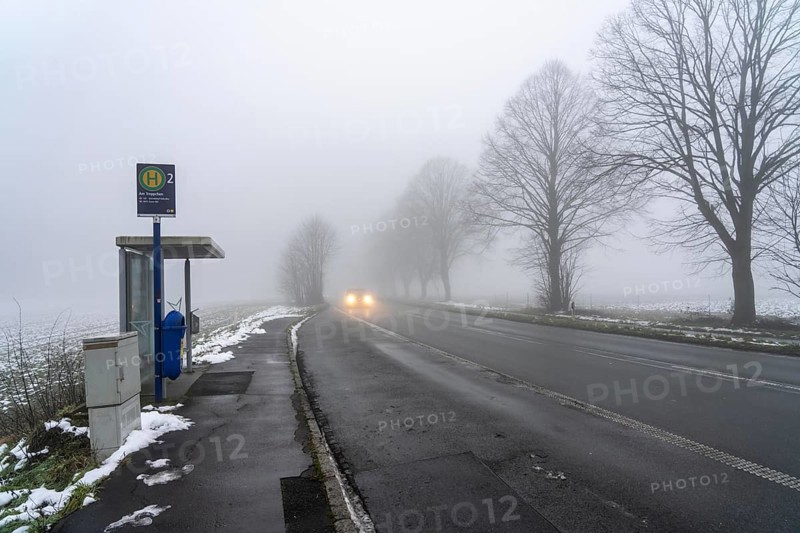 Dense fog, with visibility partly below 100 metres, country road, bus stop Am Treppchen, Meisenburgstraße, line 142, in Essen, North Rhine-Westphalia, Germany, Europe