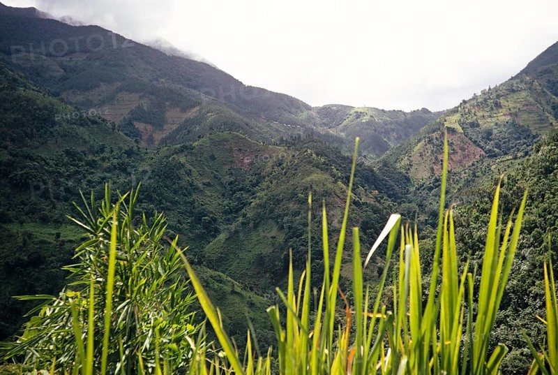 Landscape with wooded hills and deep valleys, the Blue Mountains, Jamaica, West Indies 1970, Central America