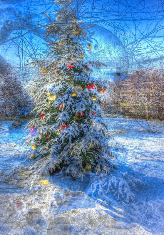 Christmas tree in the snow, Christmas tree, winter landscape, Christmas motif, Christmas, Christmas festival, Advent season, Christmas baubles, jewellery, Advent season, artistic shot, alienation, Christmas card motif, creative photography, back, all over, all-over pattern, surreal, Germany, Europe