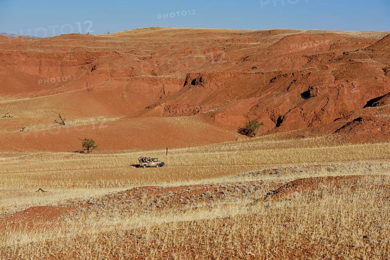 Off-road vehicle with tourists in the grassy landscape of Gondwana Namib Park, near Sesriem, Hardap region, Namibia, Africa