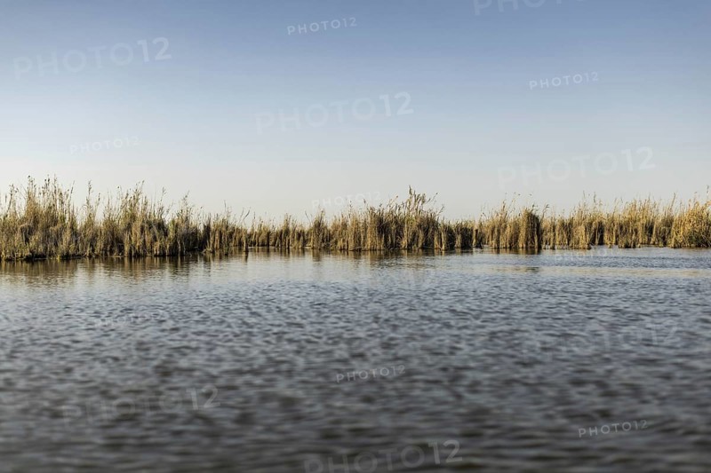 Weltkulturerbe Marschland, in Basra, 10.03.2023