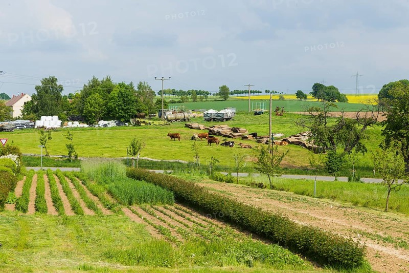 Blankenstein is a district of the Saxon town of Wilsdruff in the Sächsische Schweiz-Osterzgebirge district. The town is also known for its Blankenstein flowers