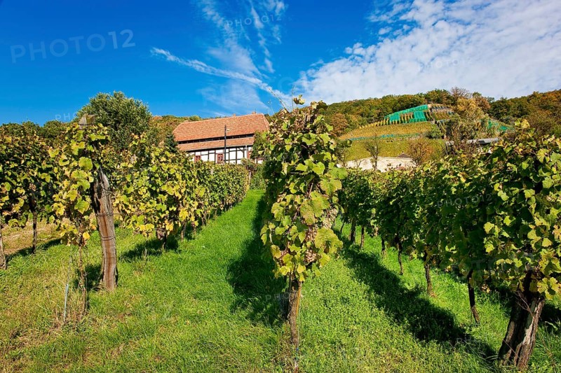 Klaus Zimmerling Winery