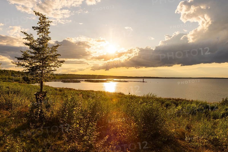 Bärwalder See Landscape Park, post-mining landscape, remnant hole of Bärwalde open-cast mine, Klitten harbour, pier, yachts, floating holiday homes, Klitten, Saxony, Germany, Europe