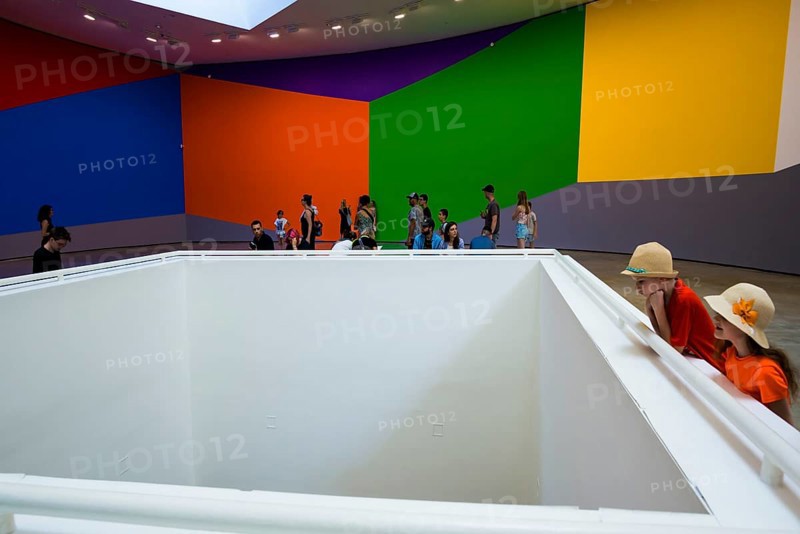 Guggenheim Museum, architect Frank Gehry, interior view, artist Sol Lewitt, Bilbao, Basque Country, Spain, Europe