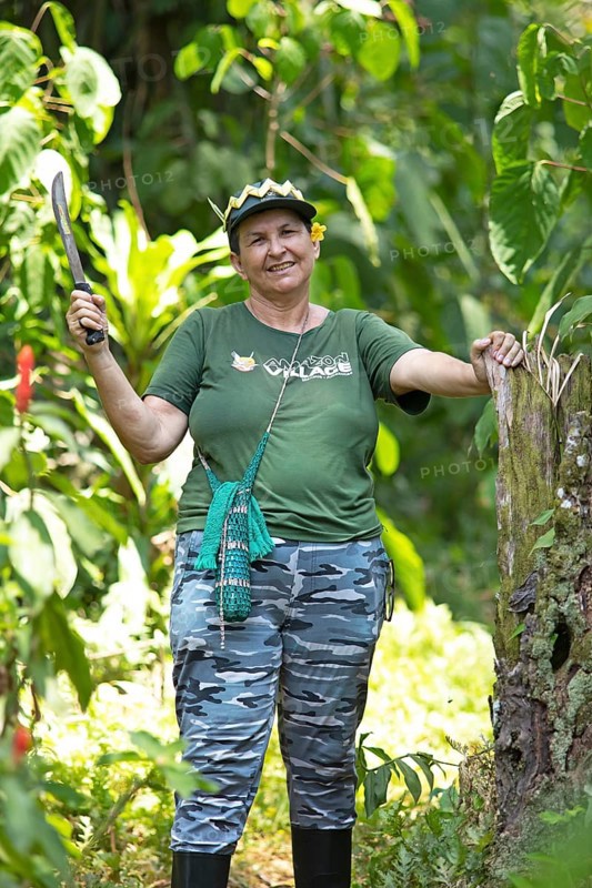 Jungle guide with machete in the Amazon rainforest, Manaus, Amazonas state, Brazil, South America