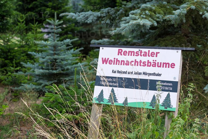 Sign for the sale of Christmas trees from the Rems Valley, Winterbach, Baden-Württemberg, Germany, Europe