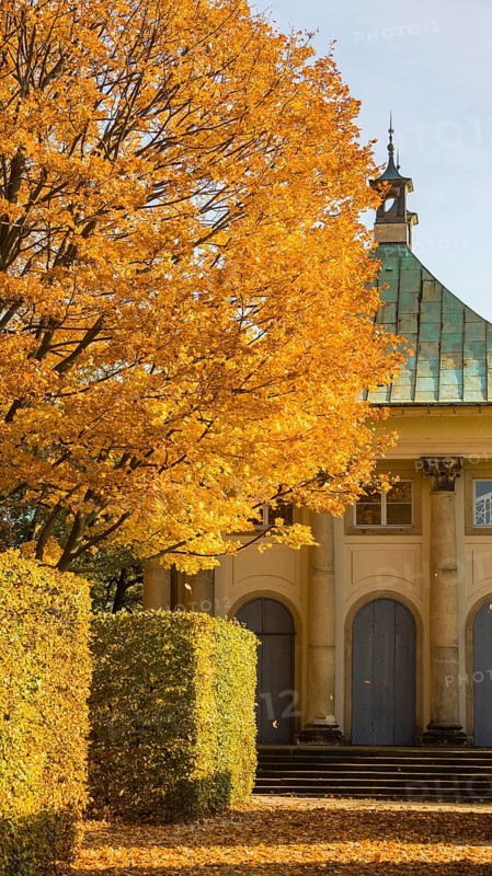 The former summer residence of the Saxon royal family is the largest chinoise palace complex in Europe. The palace park with more than 2, 000 shrubs and over 600 potted plants invites visitors to take eventful walks at any time of year
