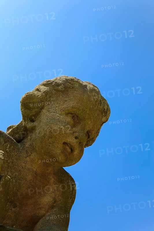 Putto, putto, sculpture, stone sculpture, detail, child's face, naked child figure, Grafeneck Castle, former hunting lodge of the Dukes of Württemberg around 1560, later summer residence of Duke Carl Eugen von Württemberg, Grafeneck killing centre during the Third Reich, today home for the disabled of the Samaritan Foundation and memorial, documentation centre, historical building, architecture, Gomadingen-Grafeneck, Swabian Alb, Baden-Württemberg, Germany, Europe