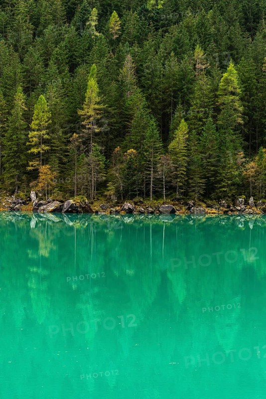 Stilluptal, Stiillup reservoir (1116m), Stillupgrund, Mayrhofen, reservoir lake, alpine mountain landscape, autumn colours, coniferous forest, water reflection, emerald green, Zillertal Alps, Tyrol, Austria, Europe