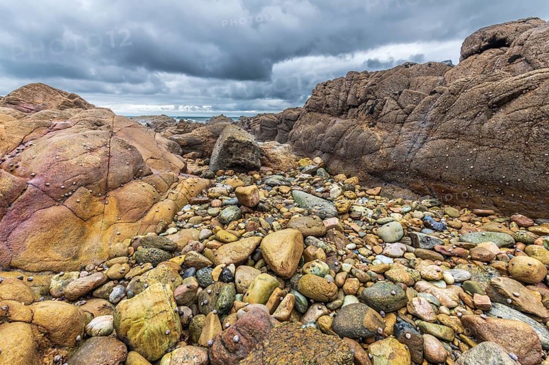 Rocks covered with shells on the Atlantic coast. Sables d'Olonne, Vendee France