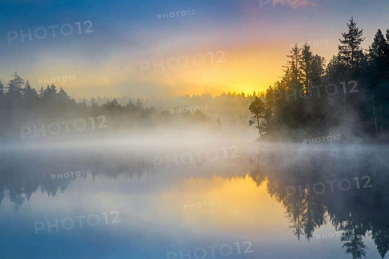 Atmospheric sunrise with wafts of mist over the mirror-smooth moorland lake Étang de la Gruère in the canton of Jura, Switzerland, Europe