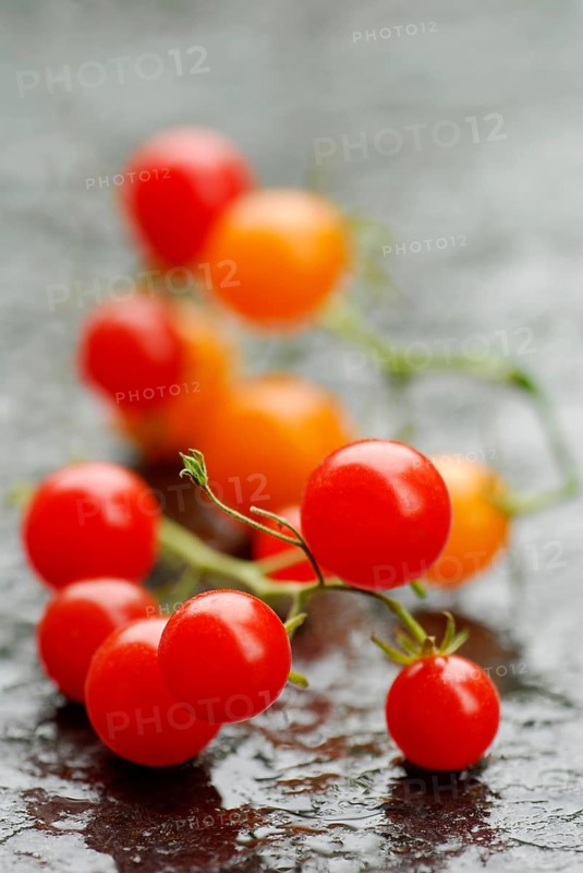 Savages Lycopersiconn (Solanum peruvianum)