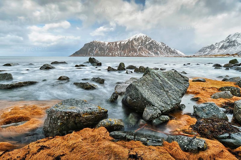 Rocky coast of fjord of Norwegian sea in winter with snow. Skagsanden beach, Lofoten islands, Norway, Europe