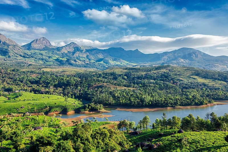 Tea plantations and Muthirappuzhayar River in hills near Munnar, Kerala, India, Asia