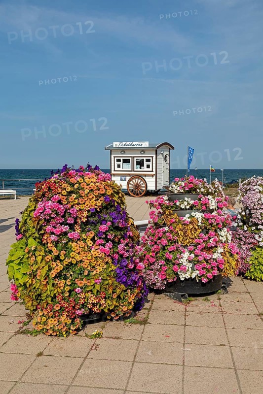 Ticket carts, flowers, beach promenade, Kühlungsborn, Mecklenburg-Western Pomerania, Germany, Europe