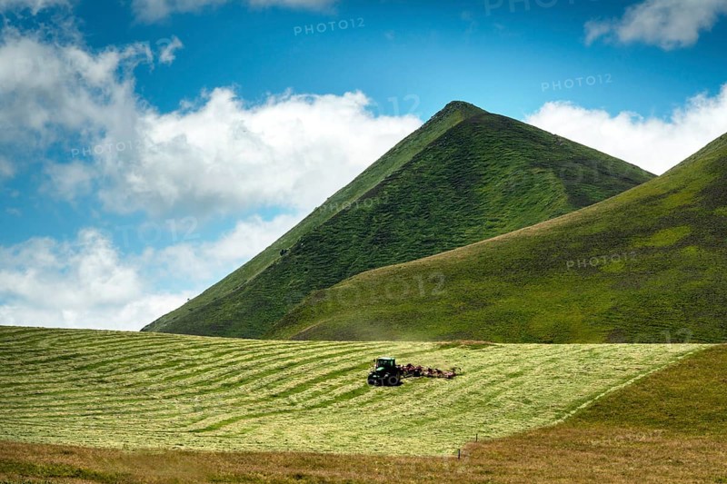 The Monts Dore at the Croix Morand pass. Regional park of the Auvergne volcanoes. Puy de Dome department. Auvergne Rhone Alpes. France