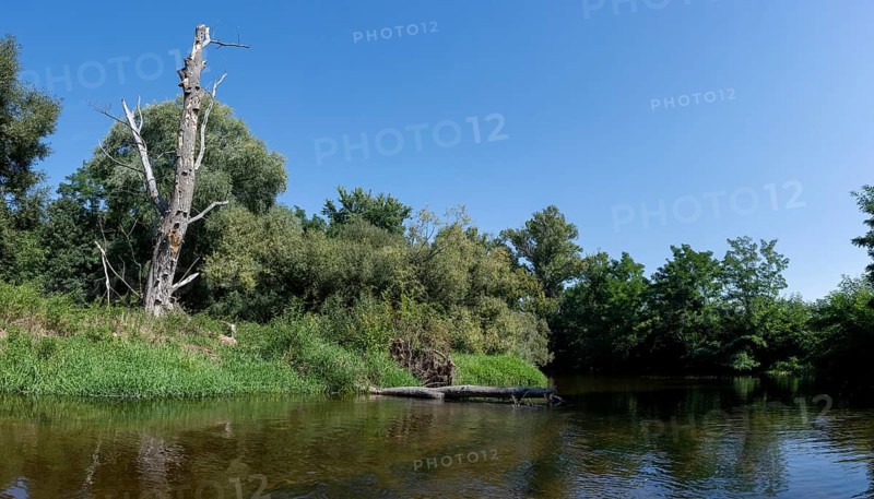 River landscape of the Thaya in late summer, Czech Republic, Europe