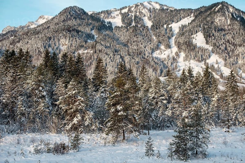 Landscape, mountains, Isar floodplains, nature, wintry, trees, winter picture, Christmas, blue sky, spot, Lenggries, Bavaria, Germany, Europe