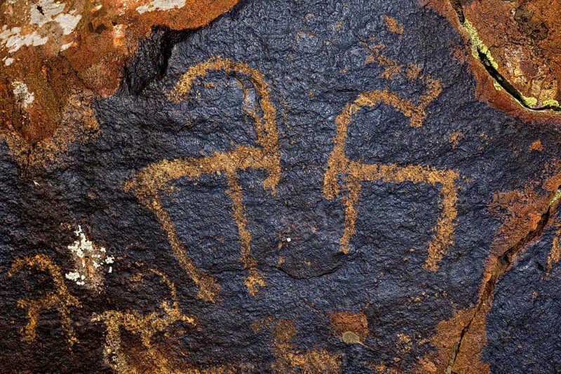 Petroglyphs of Siberian ibex (Capra sibirica), up to 2500 years old, West Karakol Valley, Tien Shan Mountains, Naryn region, Kyrgyzstan, Asia