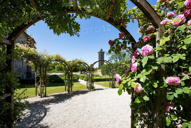 Rose garden in the Obernberg castle area with observation tower eINNblick, Obernberg am Inn, Innviertel, Upper Austria, Austria, Europe