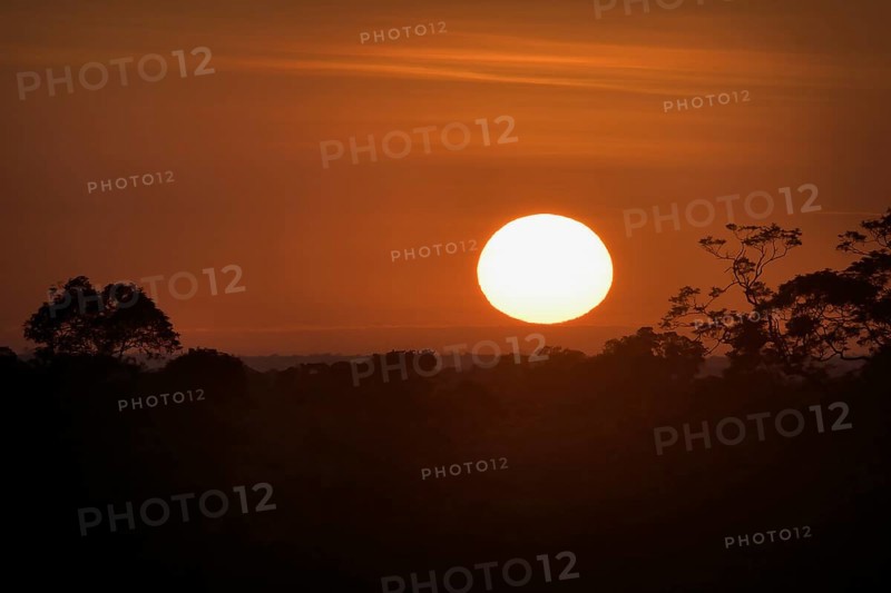 Sunrise over Adolpho Ducke Forest Reserve, Manaus, Amazonia State, Brazil, South America
