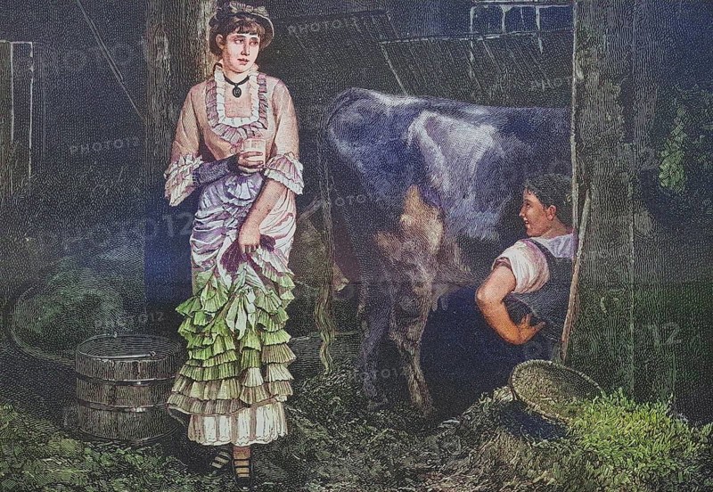 The first day of the milk cure, lady from the city stands in the barn and looks sceptically at the farmer's wife who is milking the cow, around 1885, Historic, digitally restored reproduction from a 19th century original, The first day of the milk cure, lady from the city stands in the barn and looks sceptically at the farmer's wife who is milking the cow, around 1885, Historic, digitally restored reproduction from a 19th century original
