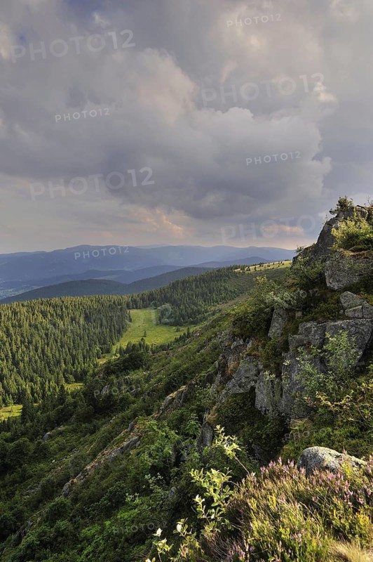 View over the Vosges mountains, Alsace, France, Europe
