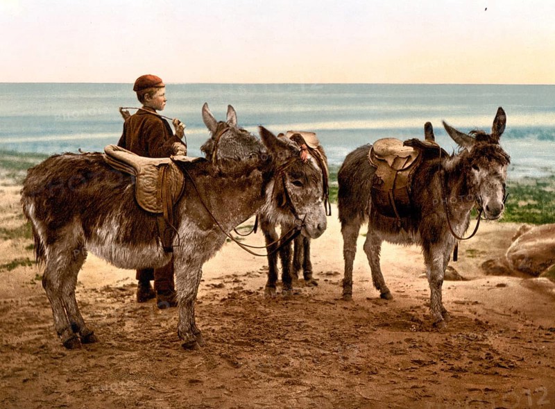 Day labourer waiting for work with his donkey, England, around 1890, Historic, digitally restored reproduction from a 19th century original, Day labourer waiting for work with his donkey, around 1890, Historic, digitally restored reproduction from a 19th century original