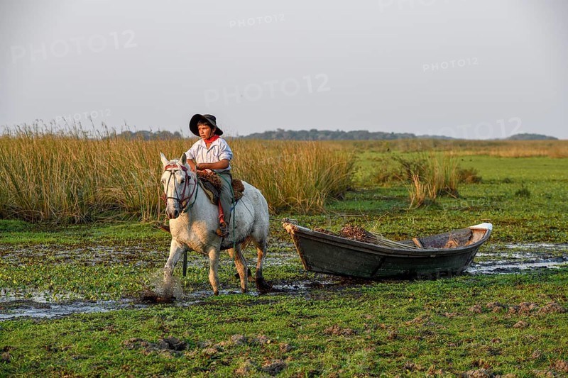 Young gaucho pulling a boat with reeds, traditional means of transport, Puesto Mingo, Esteros del Iberá, near Concepción del Yaguareté Corá, Corrientes Province, Argentina, South America