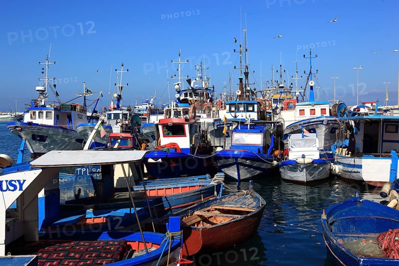 City of Trapani, boats in fishing harbour, Sicily, Italy, Europe