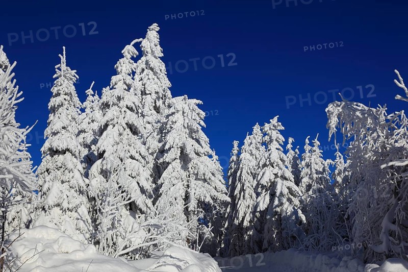 Winter landscape in the Fichtelgebirge, Bayreuth district, Upper Franconia, Bavaria, Germany, Europe