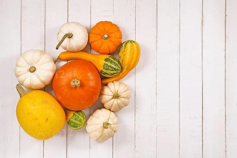 Different seasonal pumpkins and squashes on side of white wooden background with copy space