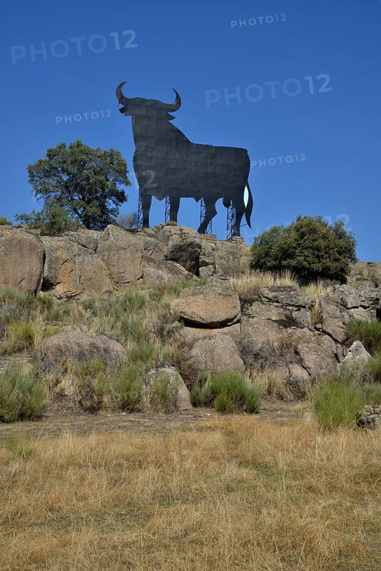Osborne bull, Toro de Osborne, bei Trujillo, Provinz Cáceres, Extremadura, Spain, Europe