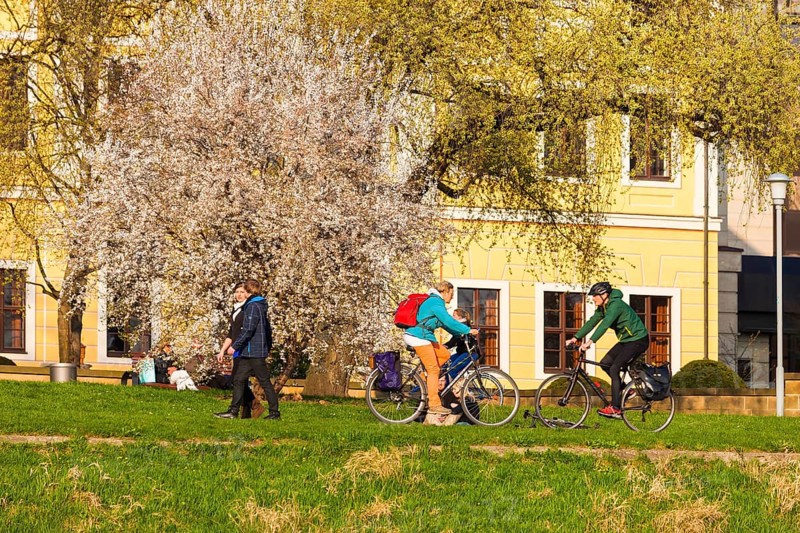 Spring on the Königsufer in Dresden