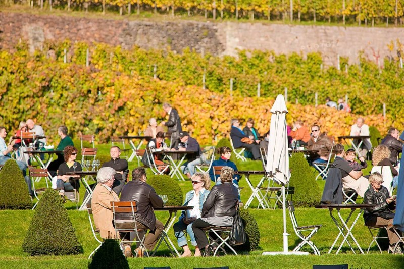 Schloss Wackerbarth or Wackerbarths Ruh' is a baroque castle surrounded by vineyards in the Niederlößnitz district of Radebeul on the road to Meissen, which serves as the seat of the Saxon State Winery. The winery belongs to the large Lößnitz vineyard and is located in the single vineyard Radebeuler Johannisberg