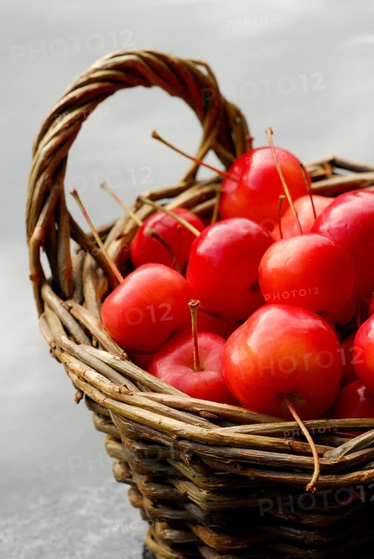 Ornamental apples (Malus), basket