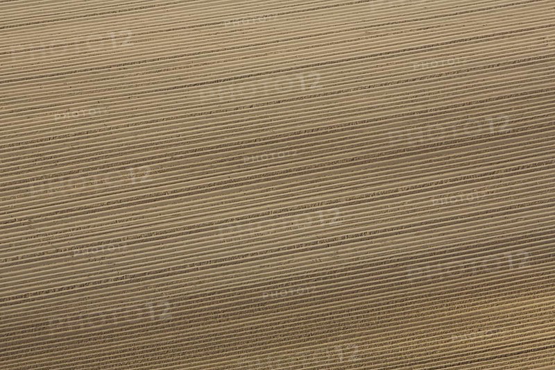 Field with grooves from above, background, structure, line pattern, lines, pattern, brown, monochrome, homogeneous, filigree, geometric, nature, Grainberg-Kalbenstein, Karlstadt drylands, Karlstadt, Main, Lower Franconia, Franconia, Bavaria, Germany, Europe