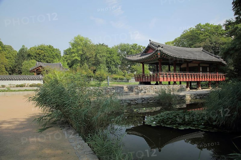 Korean Garden with Temple Pavilion Plum Arbour and Pond, Grüneburgpark, Chinese, Garden Art, Westend, Main, Frankfurt, Hesse, Germany, Europe