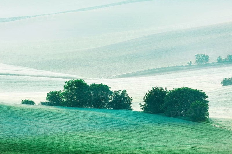 Rolling landscape of green fields in South Moravia, Czech Republic in early morning