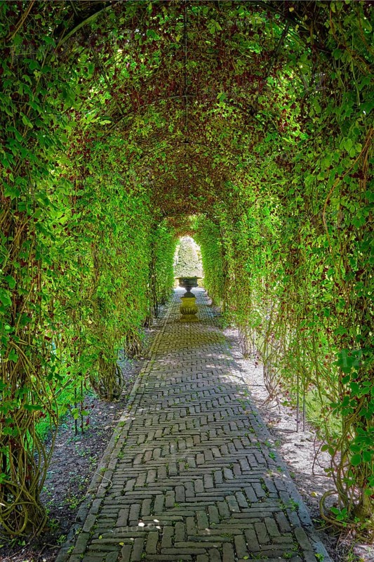 Green berceau arbour trellis overgrown garden path arcade arch way in Keukenhof garden. Lisse, Netherlands